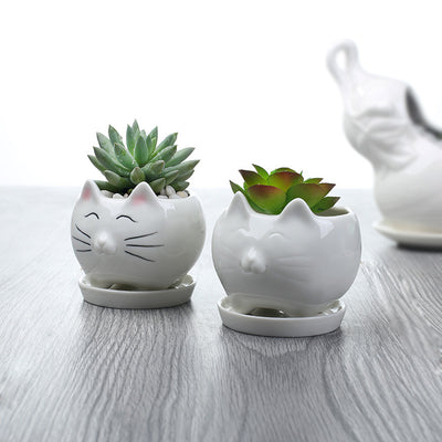 Maceta de Cerámica para Suculentas - Decoración Elegante para Balcón - Image 9