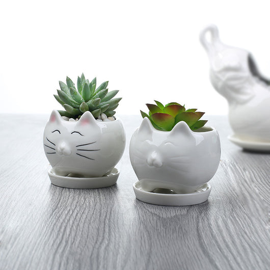 Maceta de Cerámica para Suculentas - Decoración Elegante para Balcón - Image 9