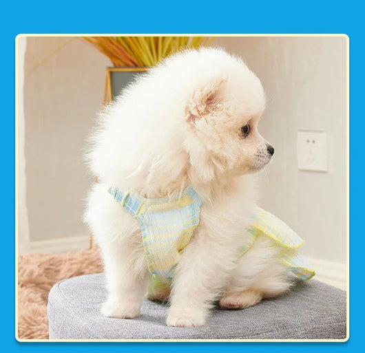Vestidos Princesa para Perros Pequeños y Medianos - Ropa Elegante para Mascotas - Image 10