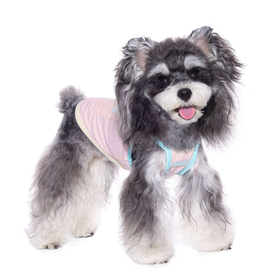 Ropa Fresca de Verano para Perros Pequeños - Bichón y Chihuahua - Image 5