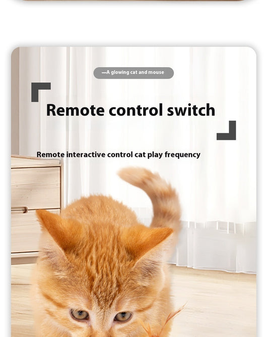 Juguete Interactivo para Gatos con Control Remoto y Carga Inteligente - Image 12