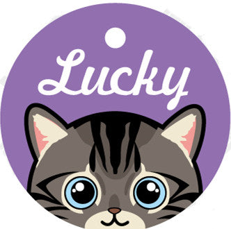 Placa de Identidad Personalizada para Mascotas - Image 13