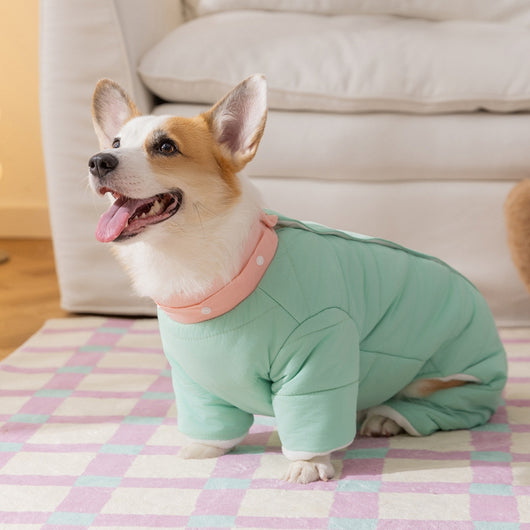 Abrigo Térmico para Corgi con Capucha Removible - Ropa de Invierno para Perros Medianos - Image 25
