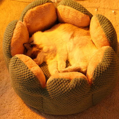 Cama Nido Térmico Flor de Cactus para Perros y Gatos - Confort Máximo - Image 12