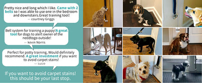 Timbre Adiestramiento Perros Premium - Campana Grande Ajustable para Entrenamiento de Cachorros - Image 9
