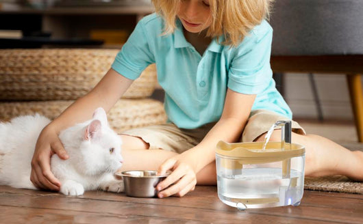 Fuente de Agua para Gatos y Perros 1500ml con Bomba Silenciosa - Image 9
