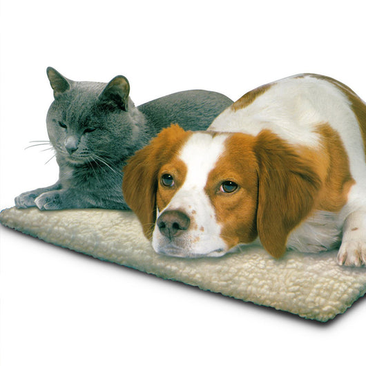 Cama Térmica Autocalefactable para Gatos y Perros - Image 8