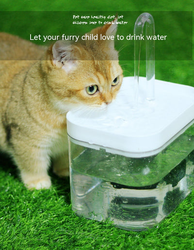 Fuente de Agua Automática Silenciosa para Gatos con Circulación Continua - Image 14