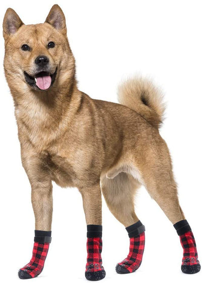 Calcetines de Algodón para Perros - Protección y Comodidad - Image 8