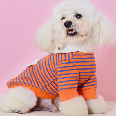Suéter Deportivo con Capucha para Perros Pequeños - Diseño a Rayas - Image 5