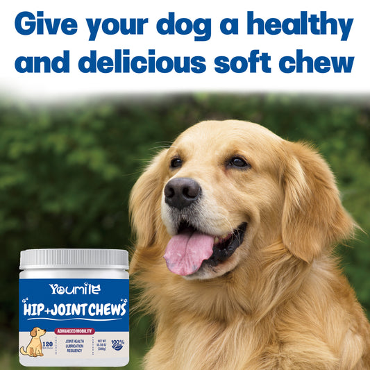 Suplemento Articular para Perros con Glucosamina y Condroitina
