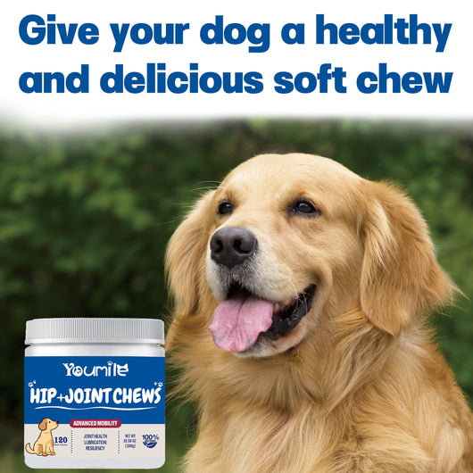 Suplemento Articular para Perros con Glucosamina y Condroitina