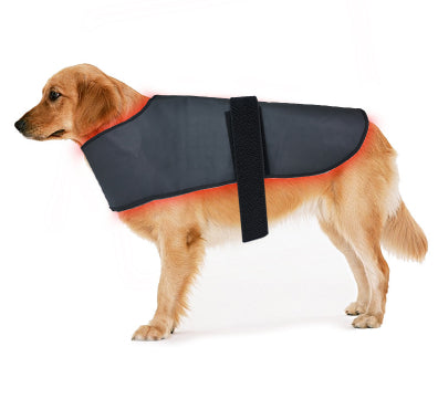 Dispositivo de Fototerapia Infrarroja para Mascotas - Tamaño L con Temporizador Inalámbrico - Image 5