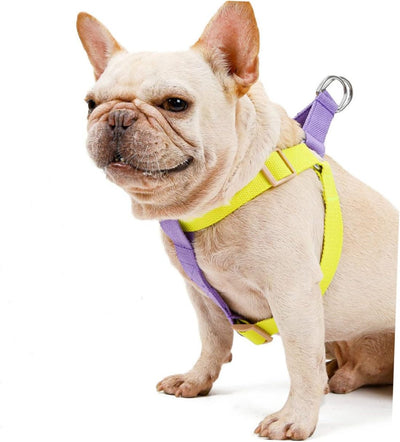 Yellow and purple no-pull dog harness with adjustable nylon straps, plastic buckles, and metal D-rings. - Image 4