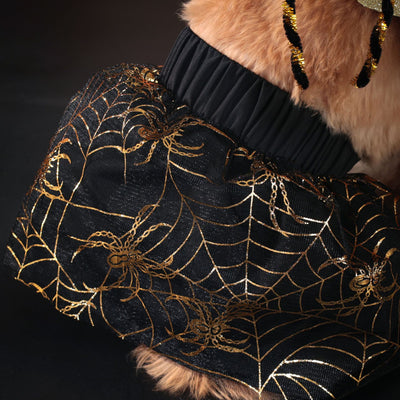 Disfraz Halloween para Perros - Traje de Fiesta Elegante - Image 4