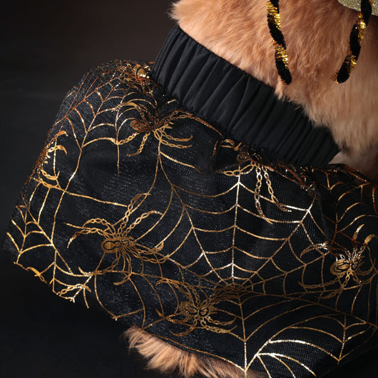 Disfraz Halloween para Perros - Traje de Fiesta Elegante - Image 4