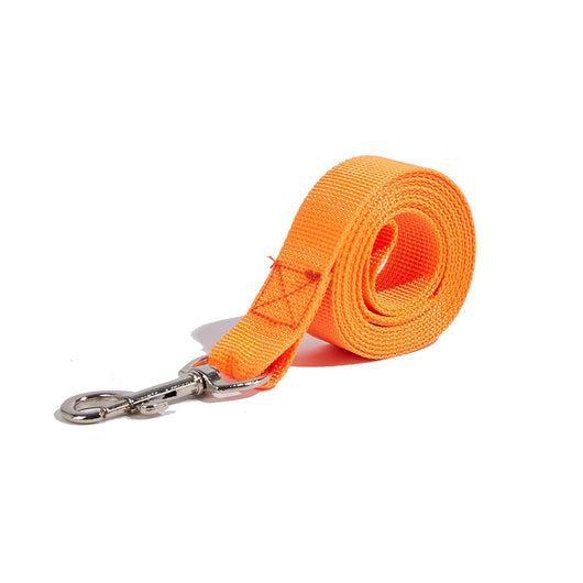 Correa Portátil con Asidero para Perros - Collar de Paseo Seguro - Image 8