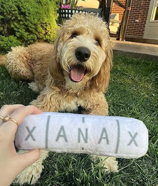 Juguete para Perro Divertido con Sonidos - Peluche Chirriante y Crujiente - Image 4
