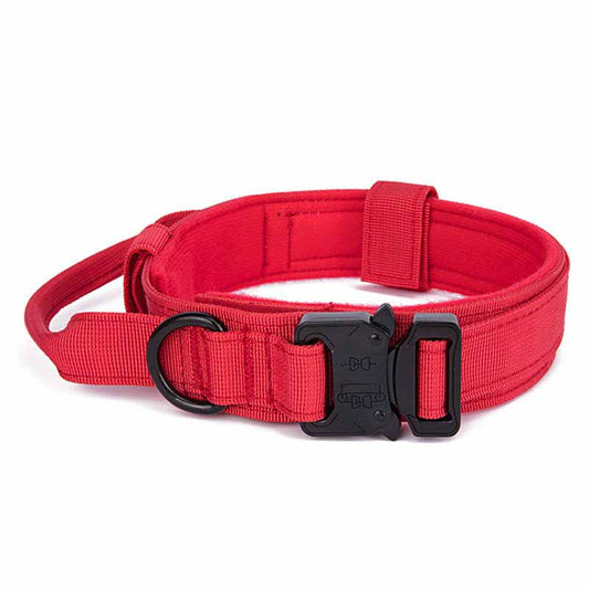 Collar de Tracción para Mascotas de Color Sólido - Image 2