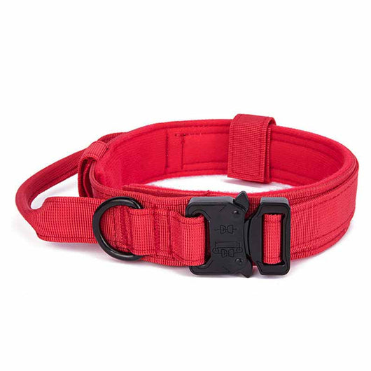 Collar de Tracción para Mascotas de Color Sólido - Image 2