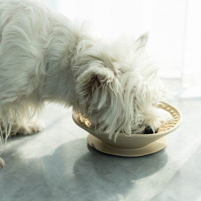 Comedero Lento de Silicona con Tapete Masticable para Perros - Image 8