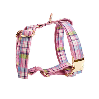 Collar y Correa de Tracción para Perros Qicaigei - Image 17