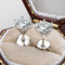 Aretes de Cristal de 1 Quilate Plata de Ley S925 para Mujer
