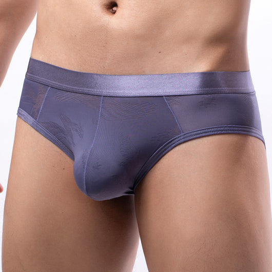 Calzoncillos Hombre Seda de Hielo Jacquard Transparente - Image 3