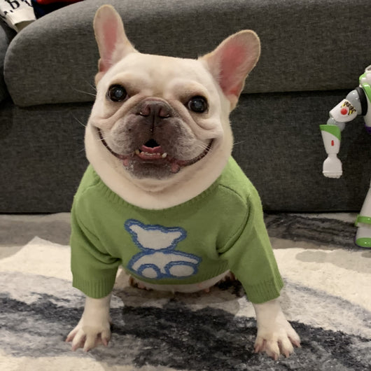 Suéter Abrigador para Perros y Gatos - Ropa de Invierno y Otoño