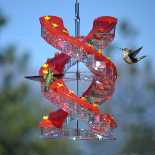 Comedero Espiral para Colibríes con Escalera