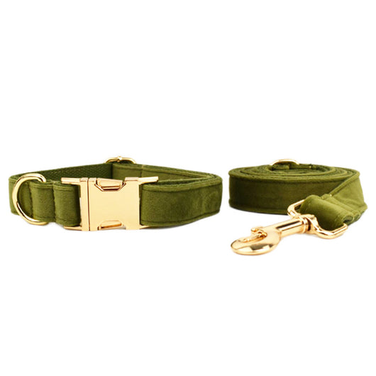 Collar de Mascota Velvet con Cuerda de Tracción - Image 9