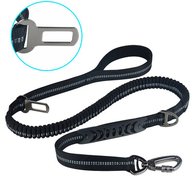 Correa Retráctil para Perro con Diseño Personalizado - Image 14