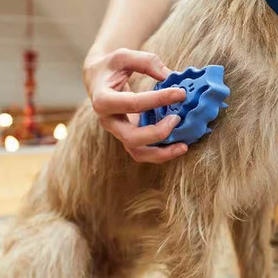 Cepillo de Baño para Perros - Masajeador 2 en 1 Azul - Image 12