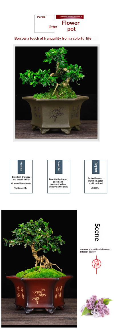 Maceta Hexagonal de Cerámica Transpirable para Orquídeas - Image 11