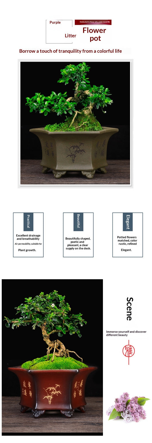 Maceta Hexagonal de Cerámica Transpirable para Orquídeas - Image 11