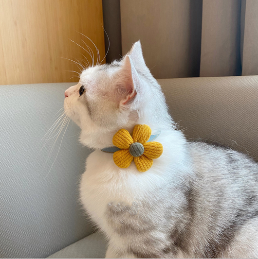 Collar con Moño Floral para Gatitos