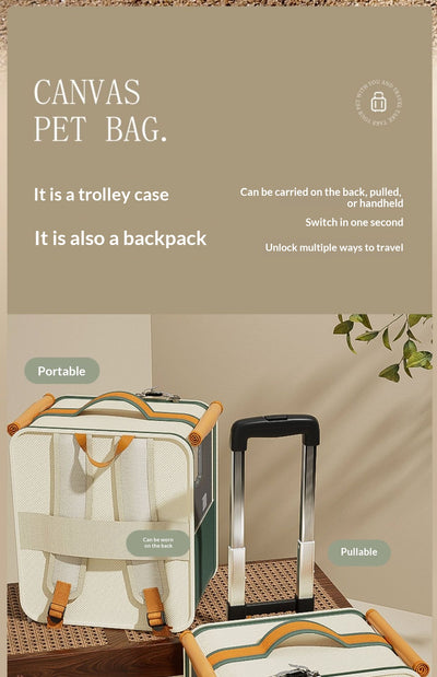 Transportín para Gatos Tipo Mochila con Capacidad Ampliada - Image 16