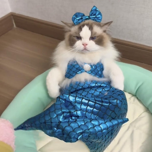 Disfraz de Sirena para Mascotas - Traje Divertido para Gatos y Perros - Image 7