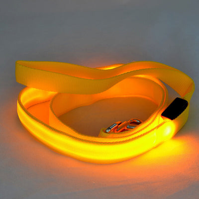 Correa LED Luminosa para Perros - Paseos Seguros de Noche - Image 20