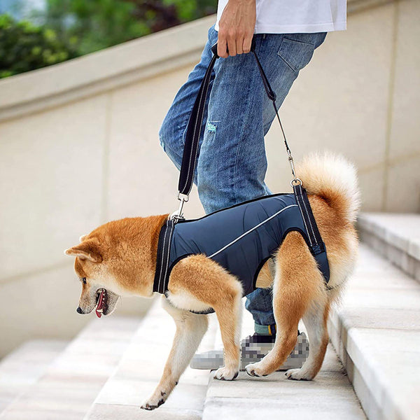 Arnés de Soporte para Perros Mayores y Discapacitados