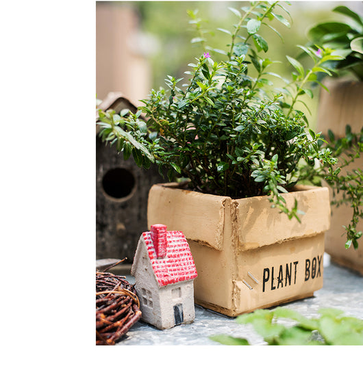 Maceta Creativa de Papel Cemento para Plantas de Interior y Balcón - Image 31