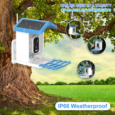 Comedero Solar Inteligente para Aves con Reconocimiento HD - Image 2