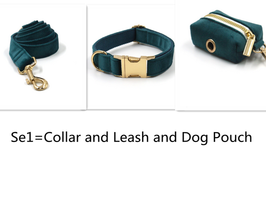 Collar y Correa para Mascotas Terciopelo Verde Esmeralda con Herrajes Dorados - Image 8