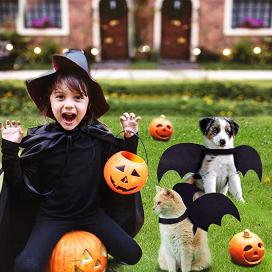 Alas de Murciélago para Mascotas - Disfraz Halloween para Gatos y Perros Pequeños - Image 16
