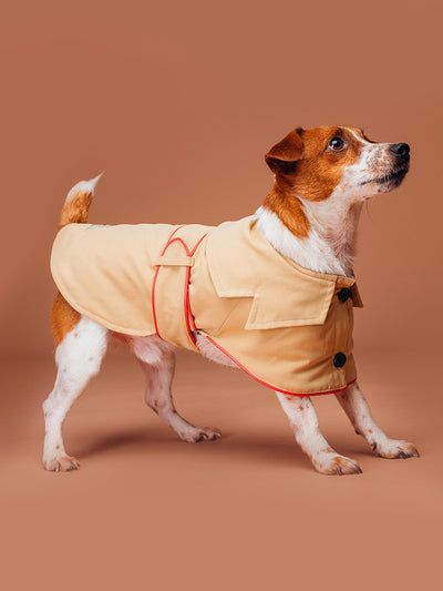 Abrigo de Algodón 100% para Perros - Ropa Cómoda y Práctica - Image 10