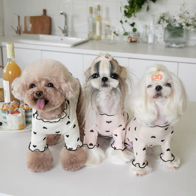 Disfraz Navideño para Perros y Gatos - Chaleco Festivo de Año Nuevo - Image 11