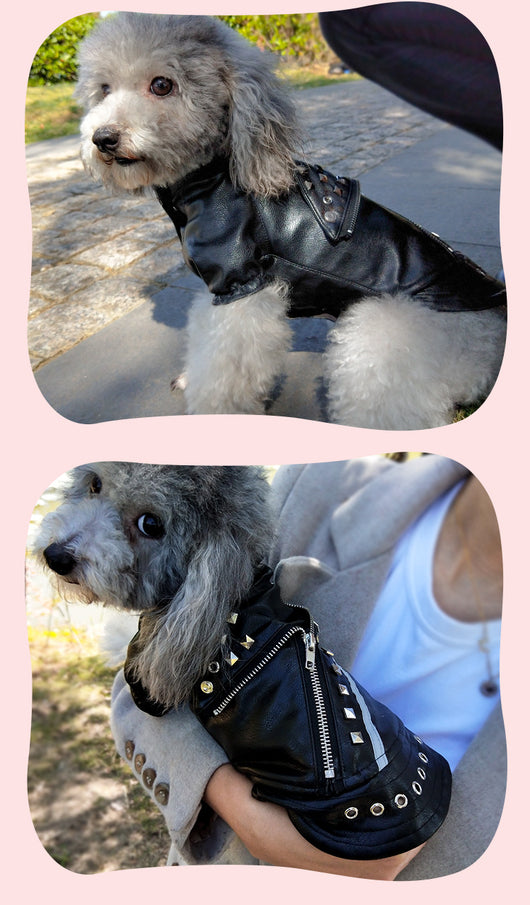 Abrigo de Cuero para Mascotas - Ropa de Moda Coreana para Perros y Gatos - Image 6