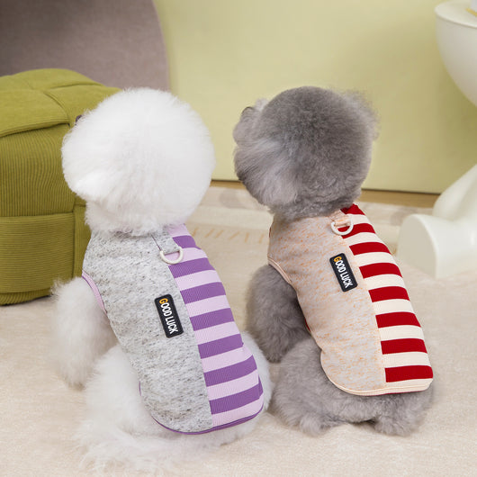Chaleco de Moda para Mascotas - Ropa Personalizada - Image 3