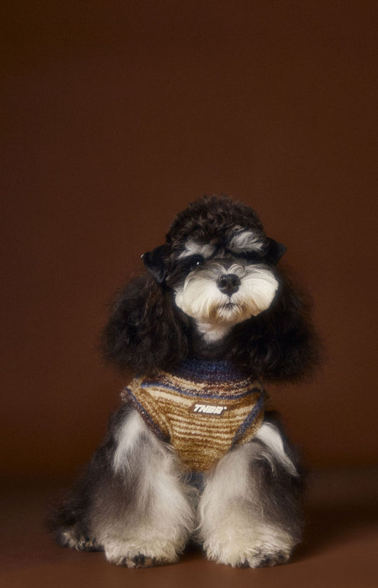 Chaleco Sin Mangas para Mascotas Schnauzer Bichón Rayas Arcoíris Variegadas - Image 19