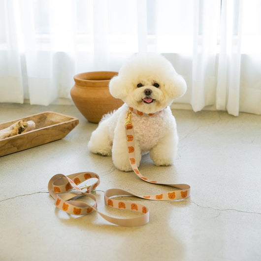 Juguete de Cuerda para Perros Osito Suave y Resistente - Image 3